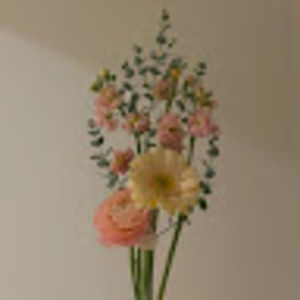 Meet your Posher, Lily